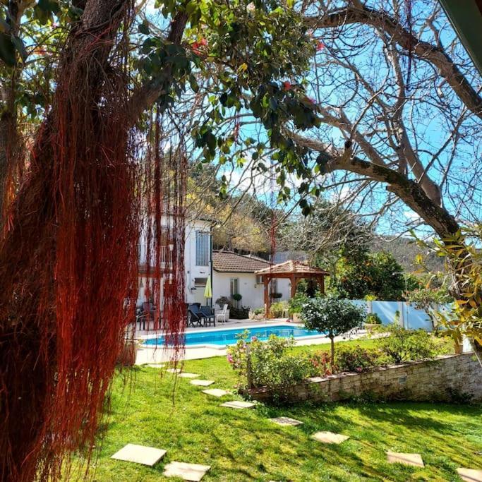 Casat5, Ferias, Piscina Privativa. Agueda, Aveiroヴィラ エクステリア 写真