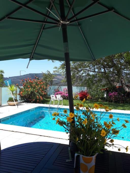 Casat5, Ferias, Piscina Privativa. Agueda, Aveiroヴィラ エクステリア 写真