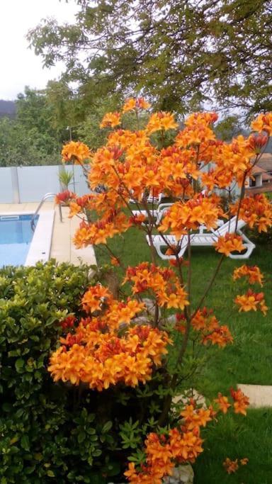 Casat5, Ferias, Piscina Privativa. Agueda, Aveiroヴィラ エクステリア 写真